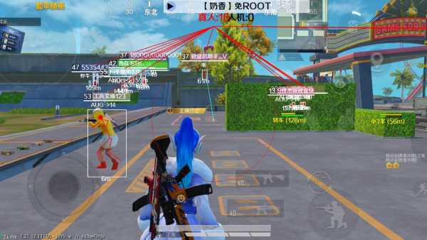 和平精英辅助【神女】